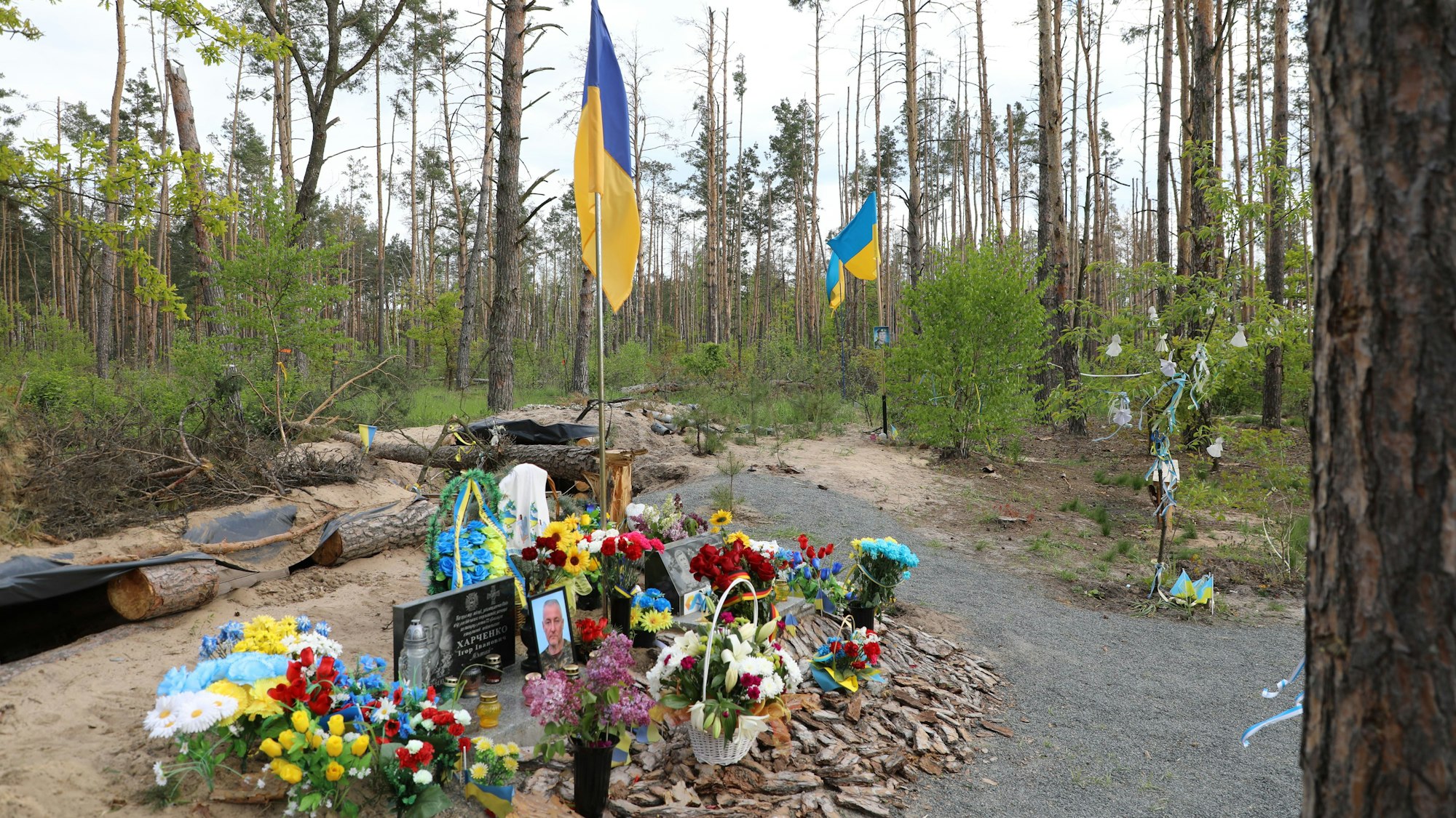 Ukrainische Flaggen wehen über Gedenkstätten mit Bildern gefallener Soldaten und Blumen in einem Waldstück.