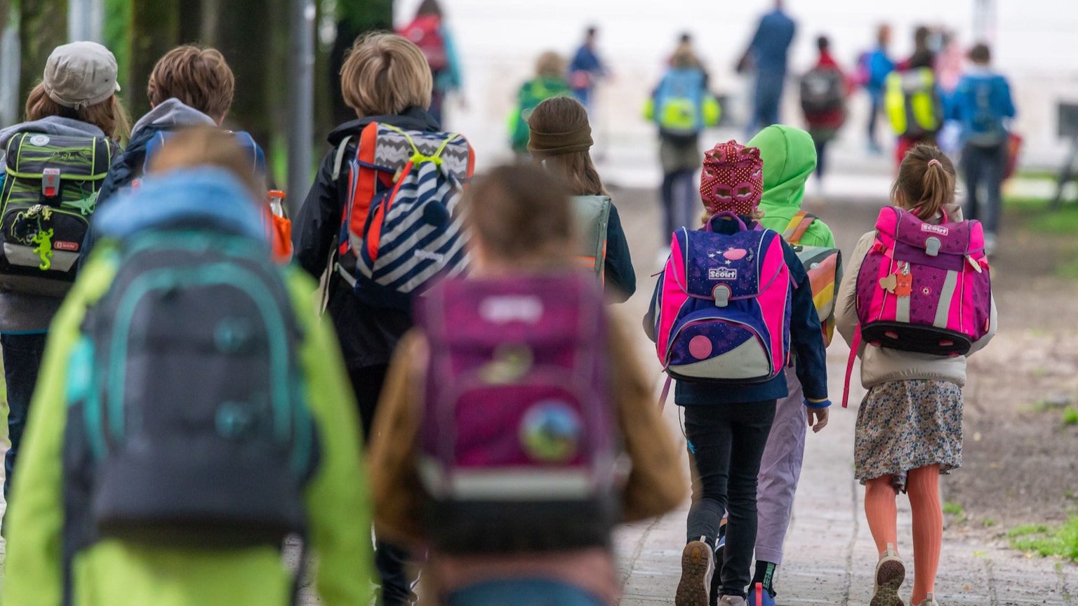 Schulkinder mit bunten Schulranzen von hinten