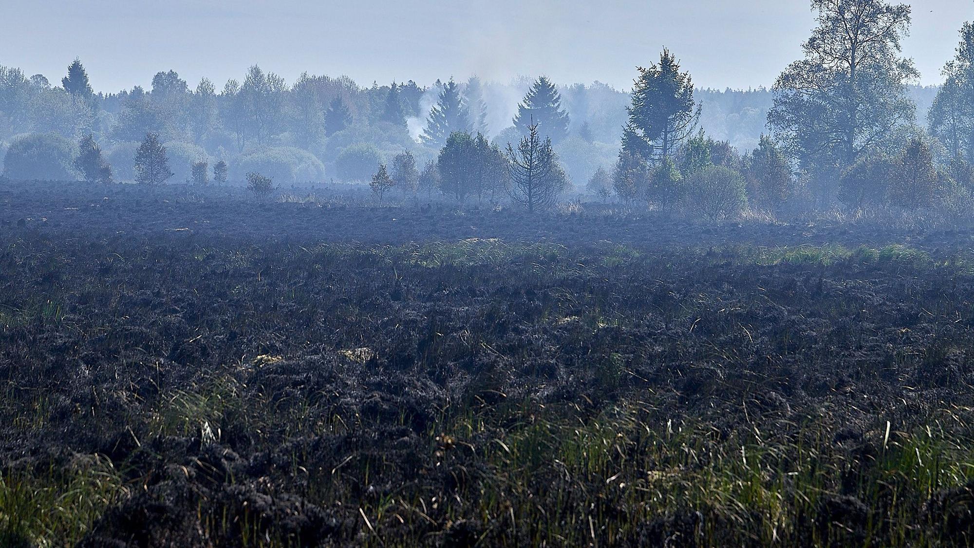 Mit einem Großaufgebot an Einsatzkräften waren die belgische und deutsche Feuerwehr gemeinsam im Venn unterwegs, um einen Oberflächenbrand zu löschen. Am Vormittag flammte das Feuer wieder auf