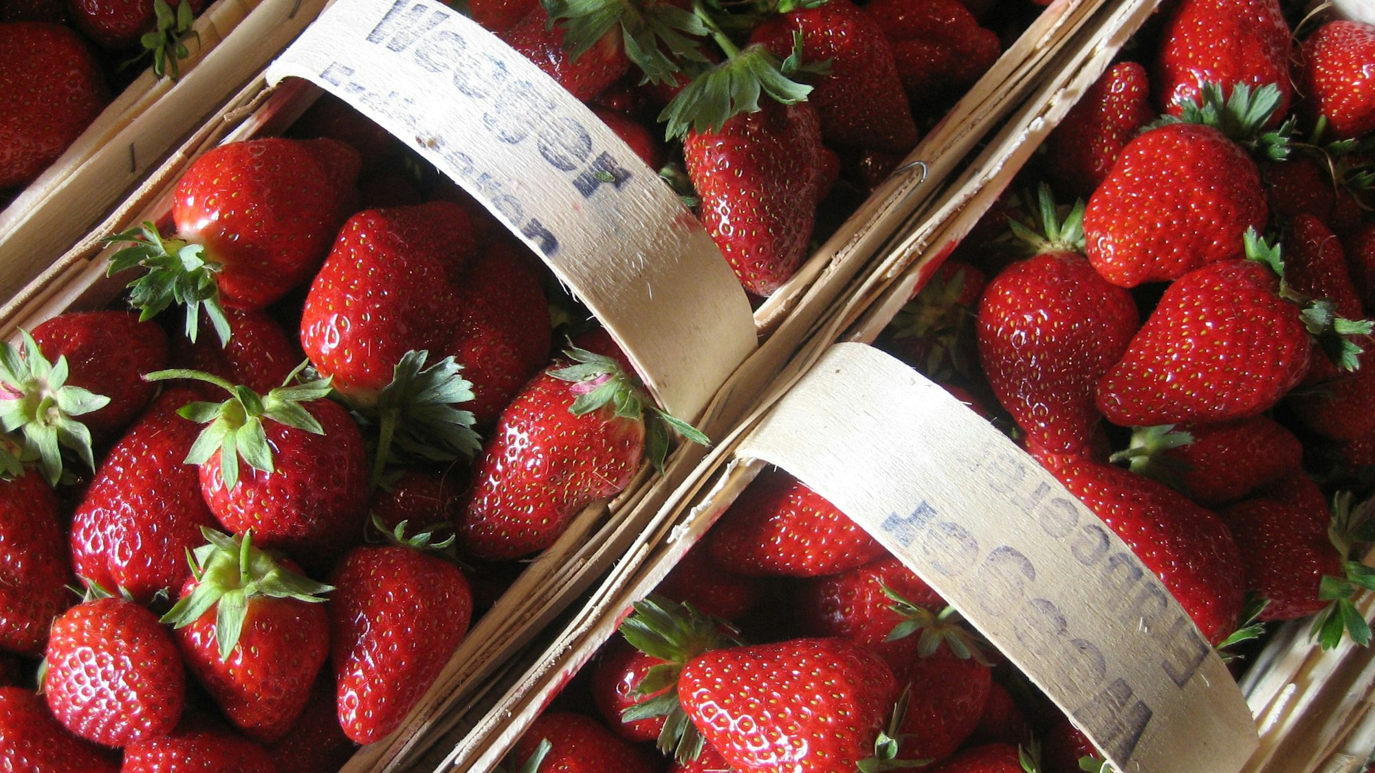 Erdbeeren in zwei Körben