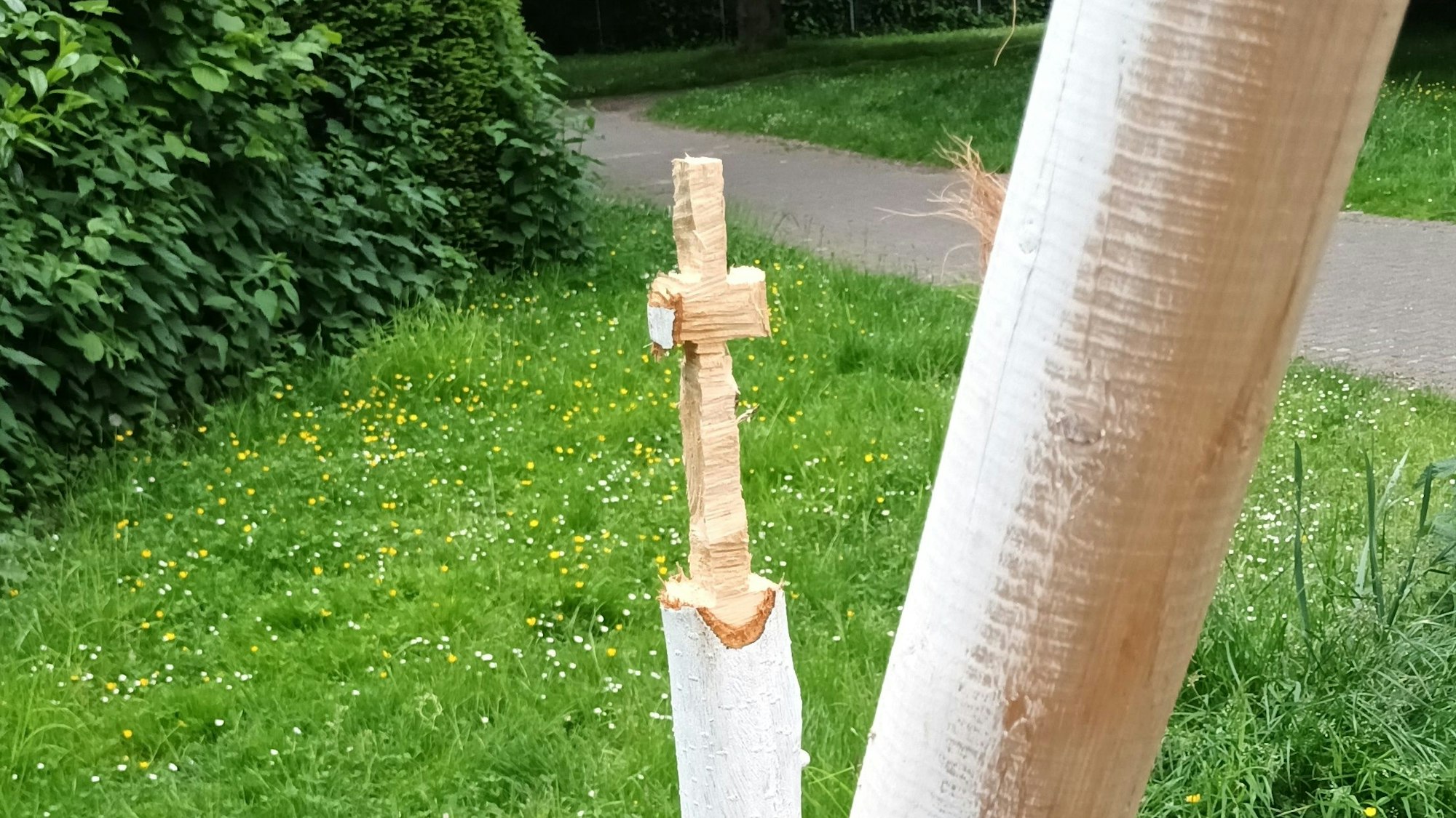 Das Foto zeigt einen Stamm, aus dem die Täter ein Kreuz geschnitzt haben.