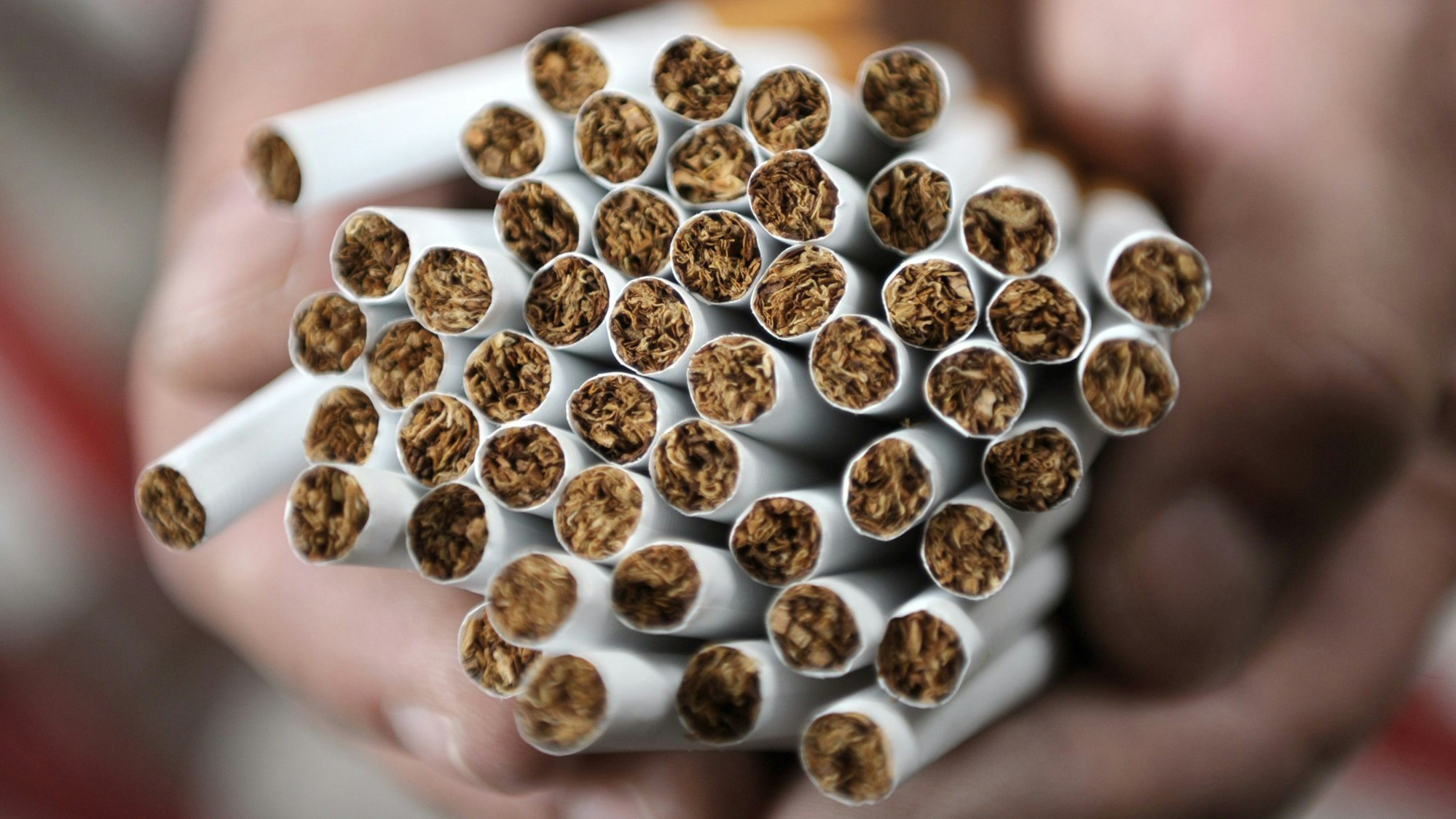 ILLUSTRATION - ARCHIV - Ein Mitarbeiter der Zollfahndung präsentiert am 21.07.2011 gefälschte Zigaretten in einer Lagerhalle in Hamburg. Die Weltgesundheitsorganisation hat sich von einer von Philip Morris gesponserten Initiative gegen das Rauchen distanziert und dem Tabakkonzern Interessenkonflikte vorgeworfen. (zu dpa «WHO lehnt Anti-Rauch-Stiftung von Philip Morris ab» vom 29.09.2017) Foto: Christian Charisius/dpa +++ dpa-Bildfunk +++