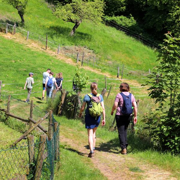 Zwei Familien laufen auf einem Wanderweg zwischen Wiesen hindurch.