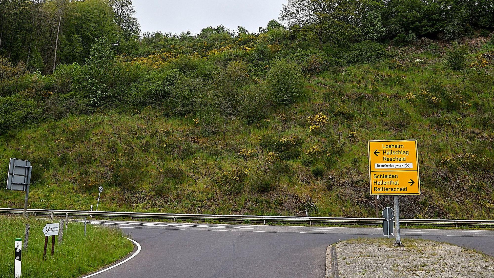 Das Bild zeigt eine Straße und einen sich dahinter erstreckenden Hang.