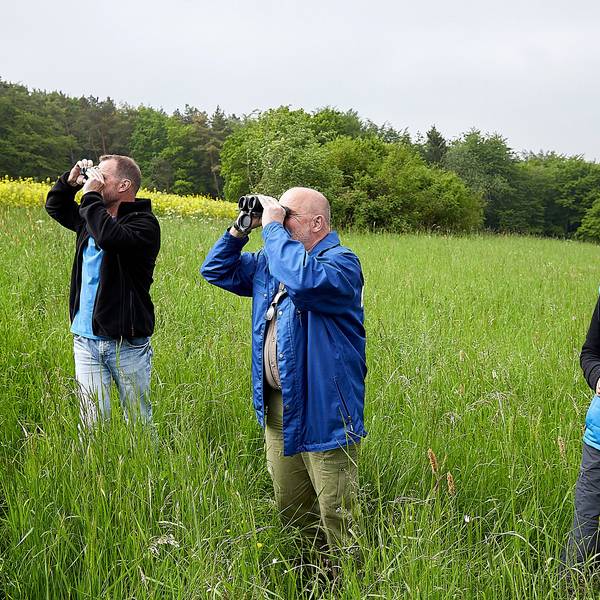 Ulli Pohl, Christian Chwallek und Marion Zöller inspizieren die Vogelwelt in Weiler am Berge.