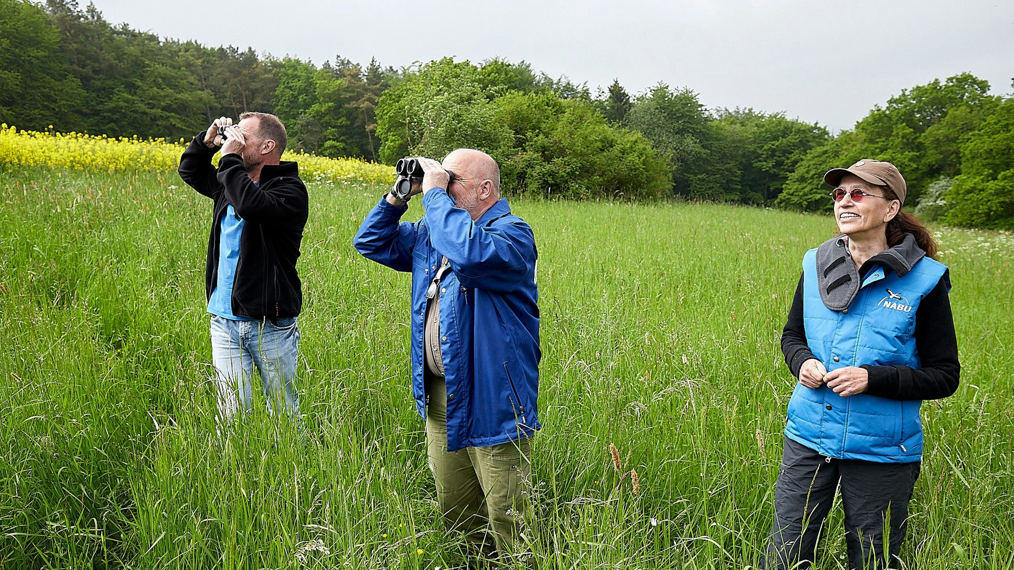Zwei Männer mit Fernglas und eine Frau stehen auf einer Wiese in hohem Gras und schauen in die Ferne.