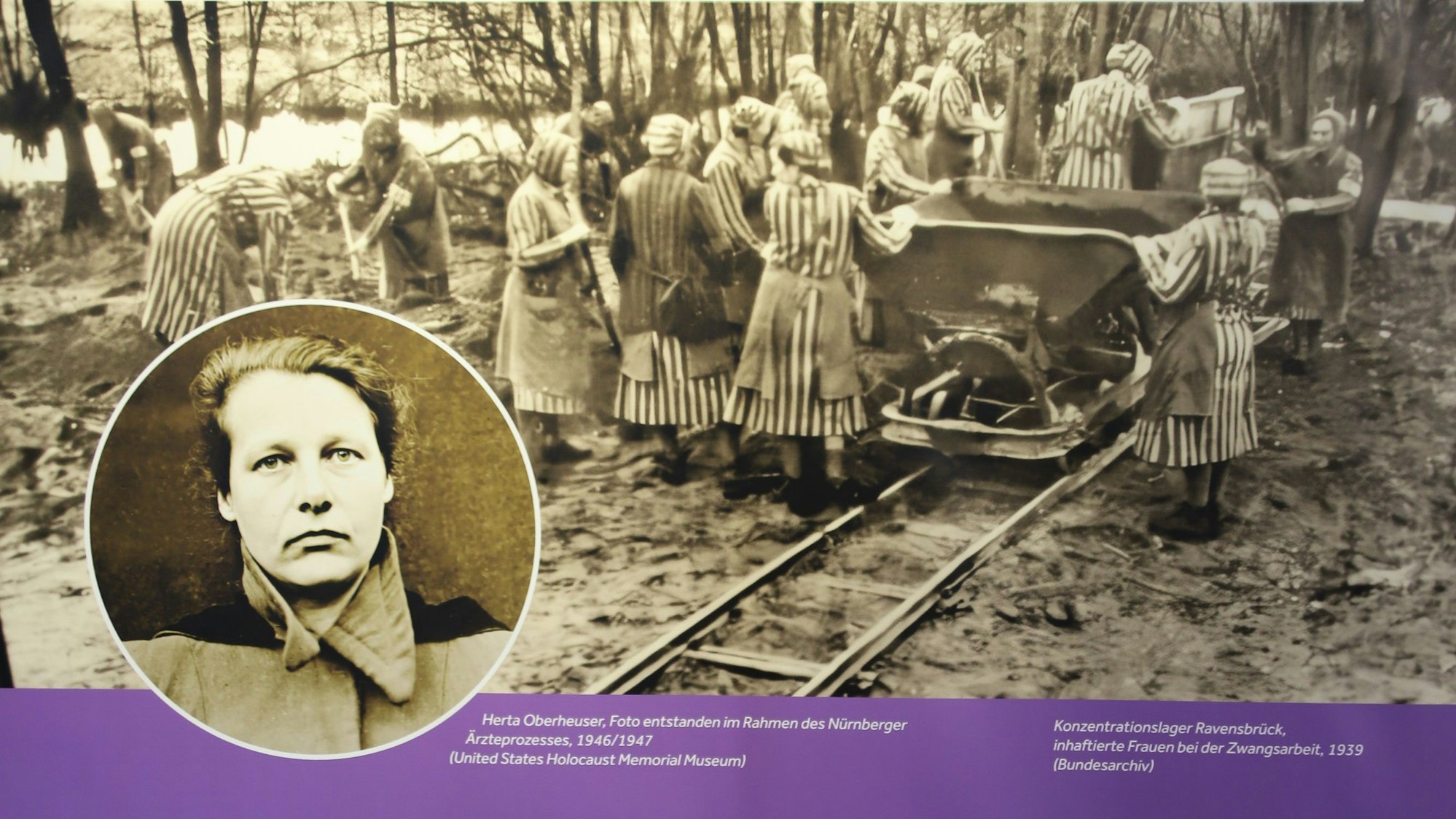 Ein Bild der Ausstellung der NS-Zeit im Rhein-Sieg-Kreis.