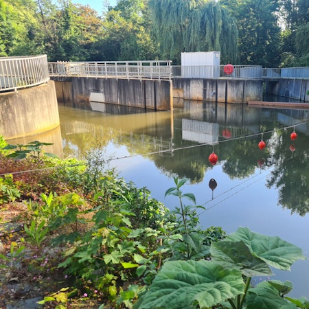 Ein Stahlseil mit Rettungsbojen sichert das Wehr in Bedburg, auch Rettungsringe und eine Strickleiter sind neu.