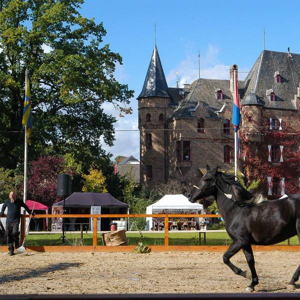 Reitvorführung beim Herbst- und Reitermarkt auf Burg Satzvey.