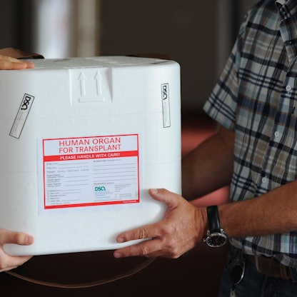 Eine Box, in der Organe vor der Transplantation transportiert und aufbewahrt werden.