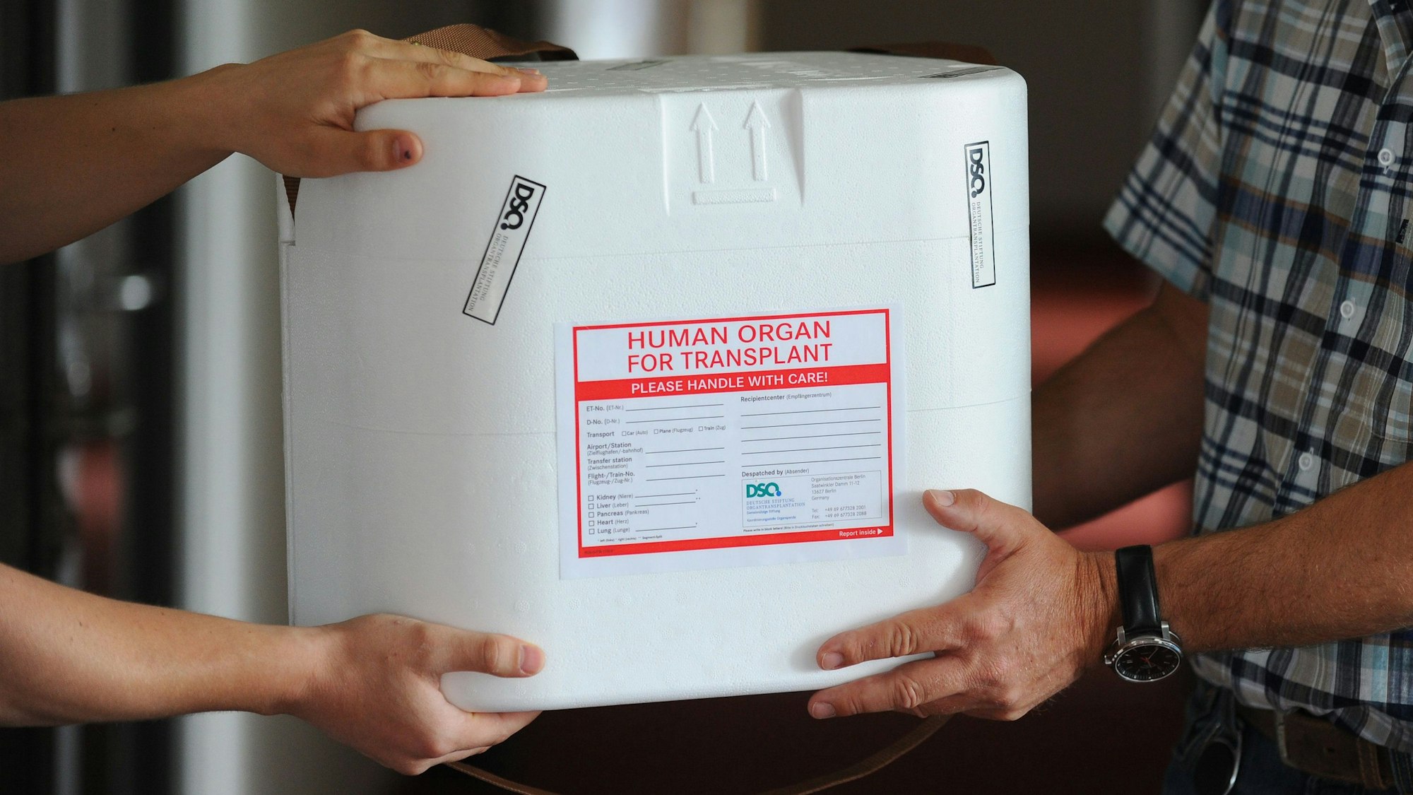 Eine Box, in der Organe vor der Transplantation transportiert und aufbewahrt werden.