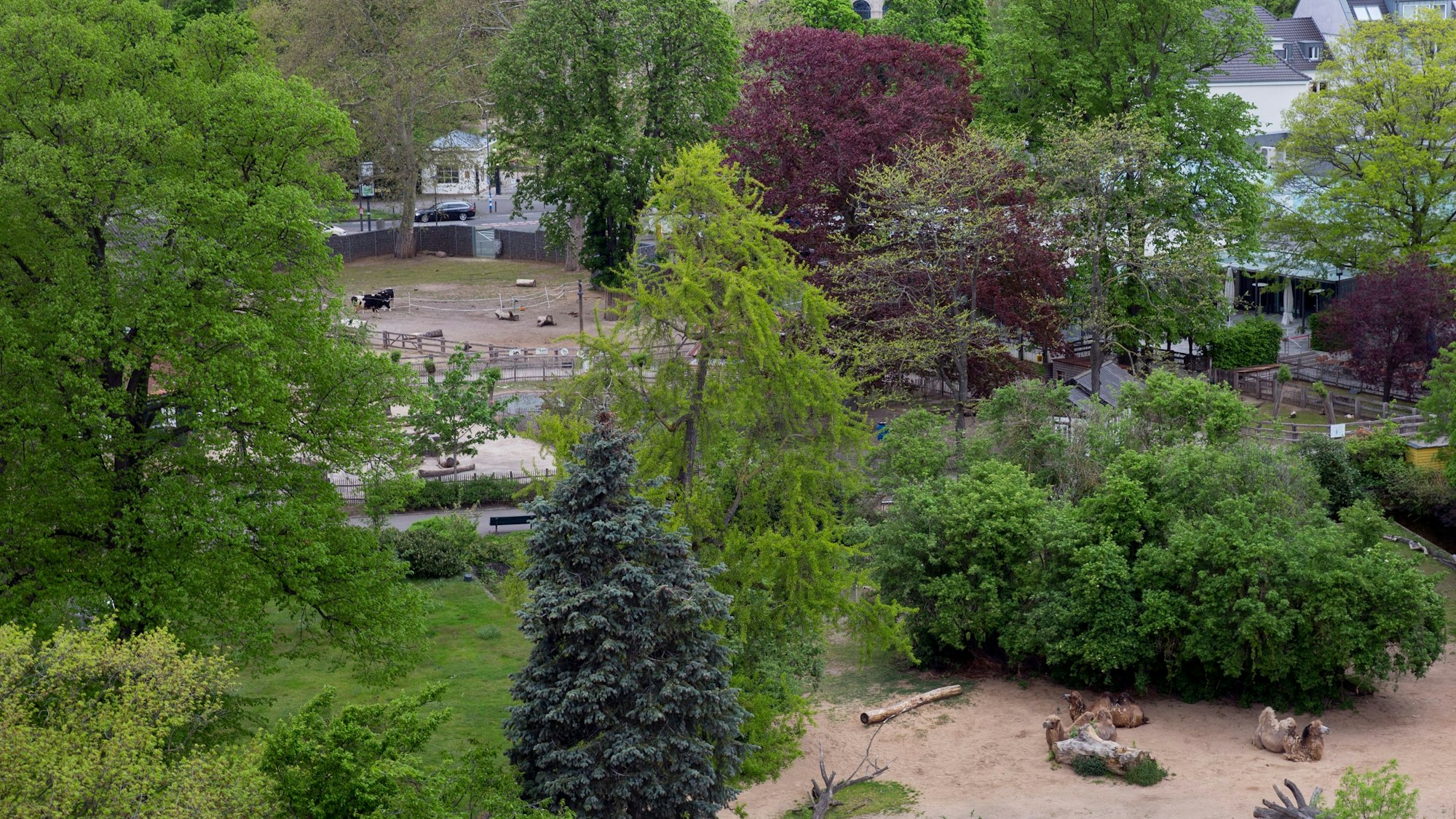 Blick auf den Kölner Zoo mit der Flora im Hintergrund