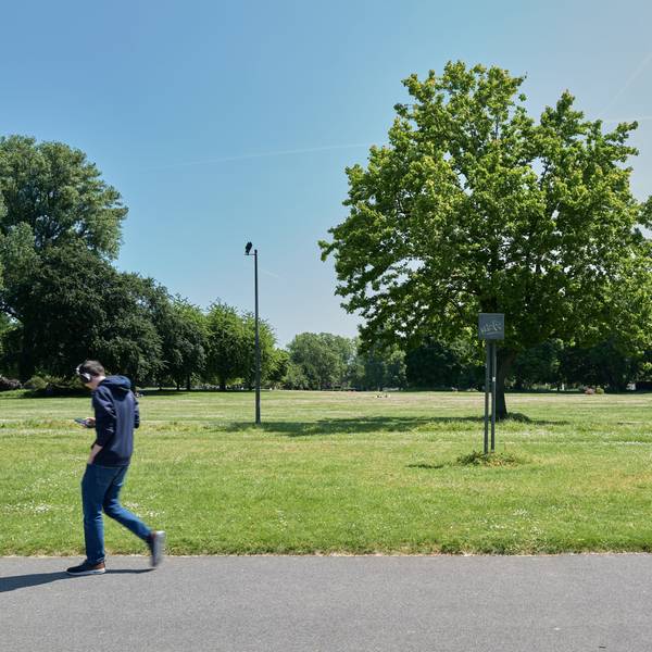 Ein Jogger läuft durch den Rheinpark in Köln-Deutz