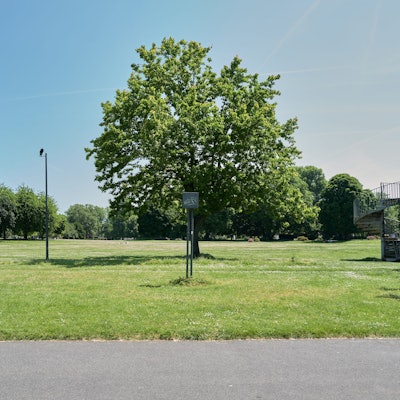 Ein Jogger läuft durch den Rheinpark in Köln-Deutz