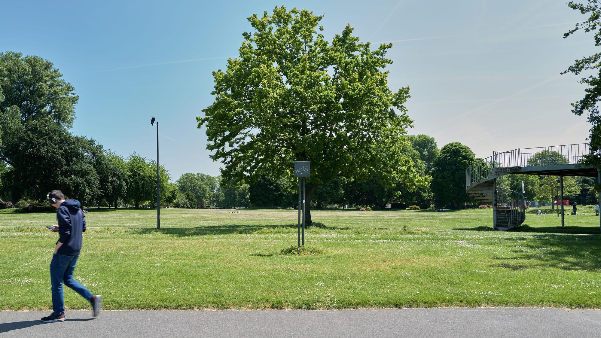 Ein Jogger läuft durch den Rheinpark in Köln-Deutz