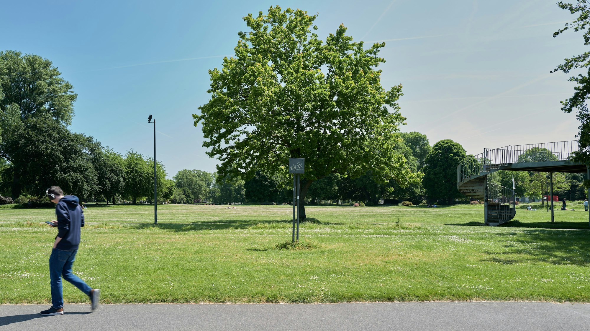 Ein Jogger läuft durch den Rheinpark in Köln-Deutz