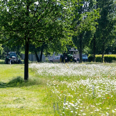 Zu sehen ist eine grüne Wiese, ein Baum, viele bunte Blumen und mehrere Traktoren.