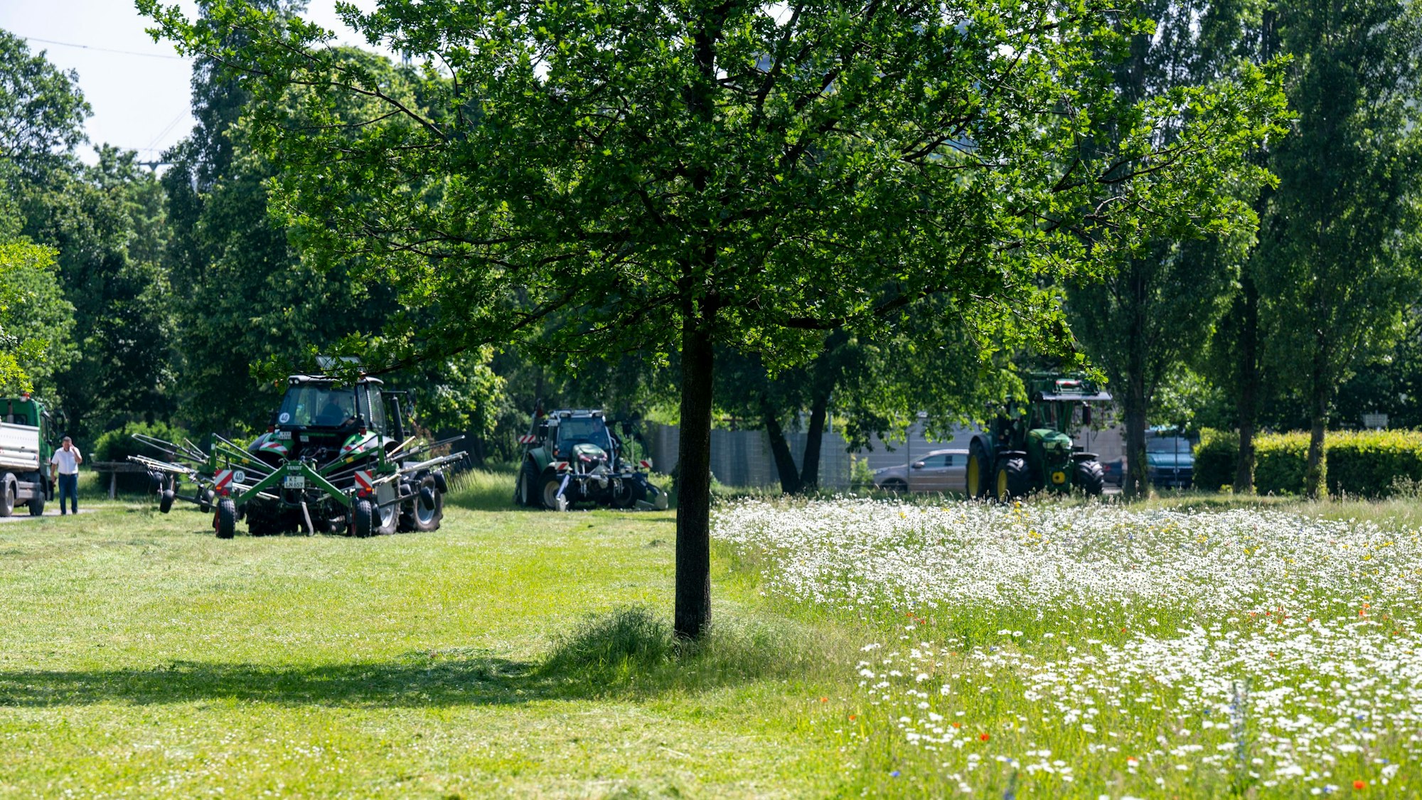 Zu sehen ist eine grüne Wiese, ein Baum, viele bunte Blumen und mehrere Traktoren.