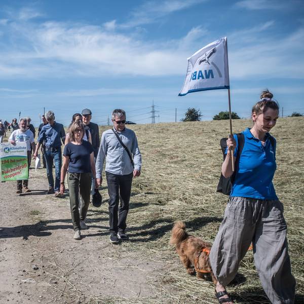 Umweltverbände treffen sich zur Pressekonferenz, sie protestieren gemeinsam gegen die Bebauung Auf den Heunen.