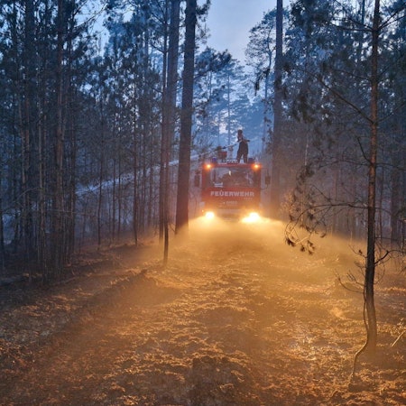 21.05.2023, Joachimsthal: Die Feuerwehr bei Löscharbeiten in Joachimsthal bei Barnim. Die Einsatzkräfte der Feuerwehr in Brandenburg haben am Sonntag mehrere Waldbrände bekämpft.