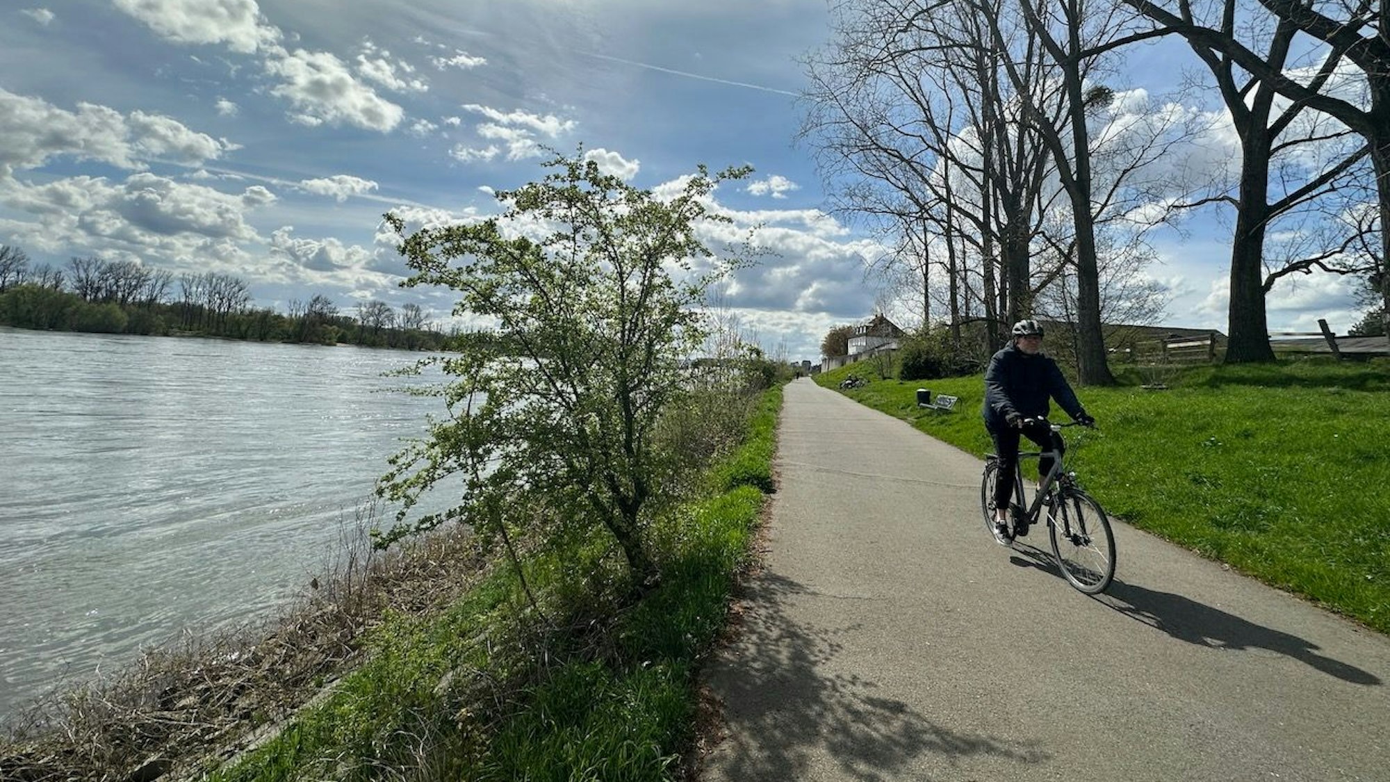 Menschen in bayerischer Tracht und eine Kuh mit Kopfschmuck