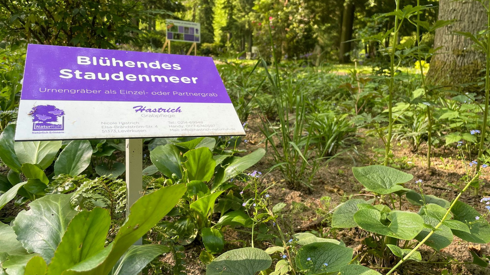 Ein „Blühendes Staudenmeer“ im dritten Leverkusener Ruhegarten.