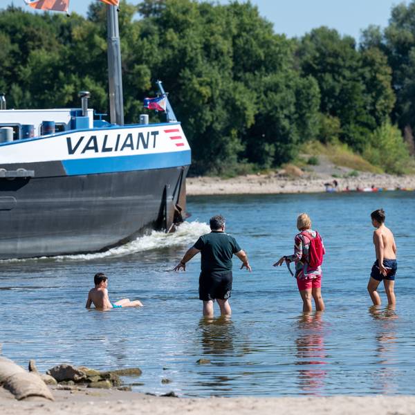 Am Rodenkirchener Strand baden vier Menschen im Rhein. Im Hintergrund fährt ein Schiff durch den Fluss.