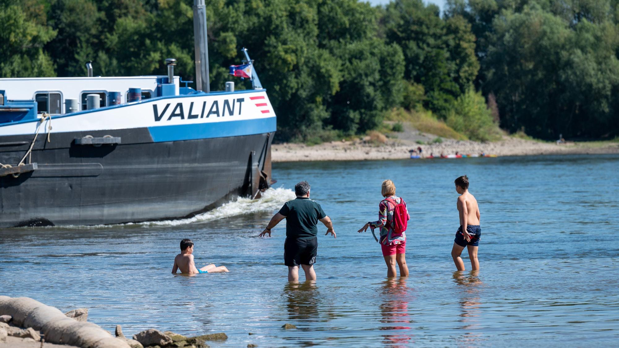 Am Rodenkirchener Strand baden vier Menschen im Rhein. Im Hintergrund fährt ein Schiff durch den Fluss.