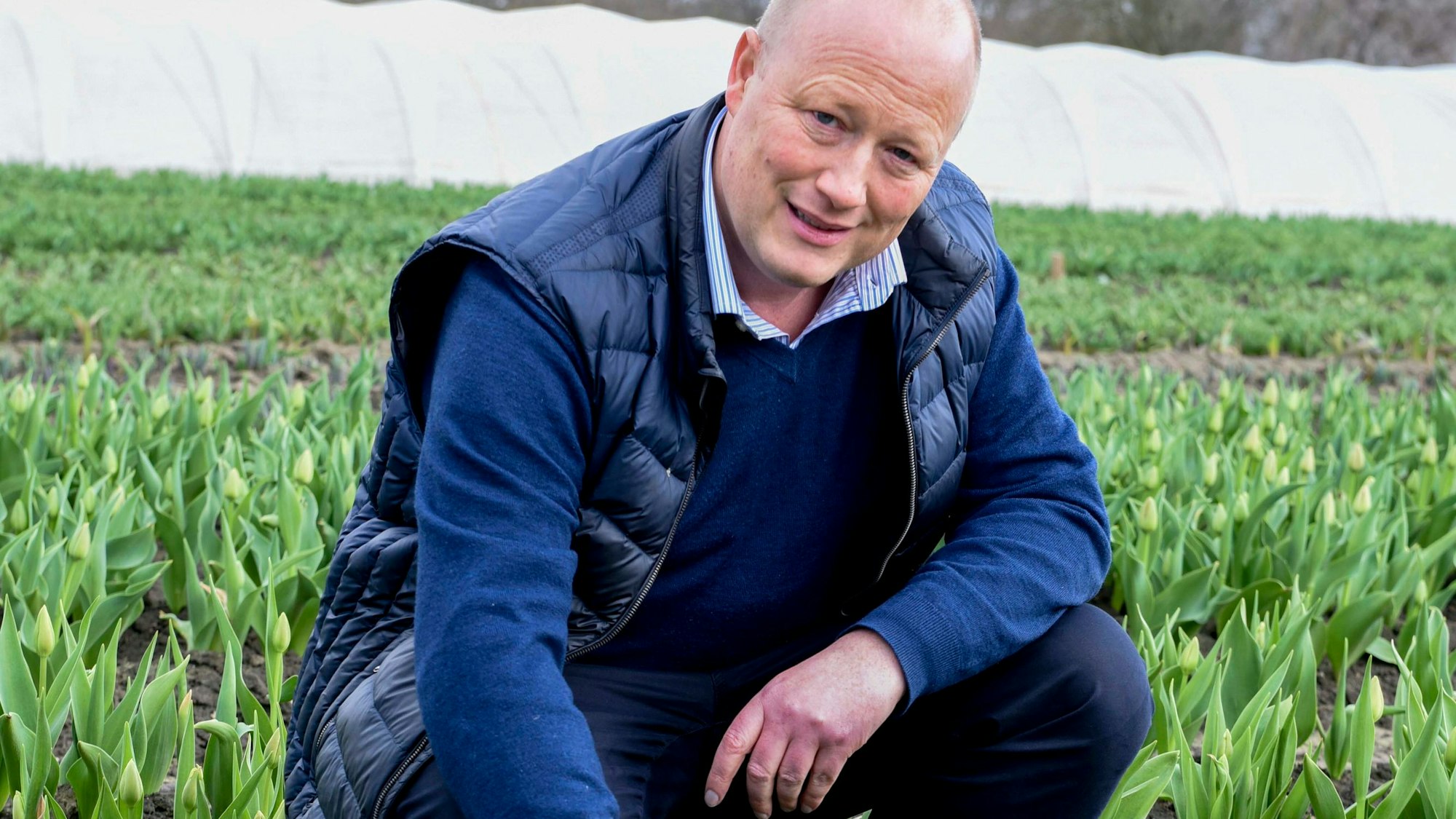 Das Foto zeigt Peter Zens in einem Tulpenfeld auf dem Gertrudenhof.