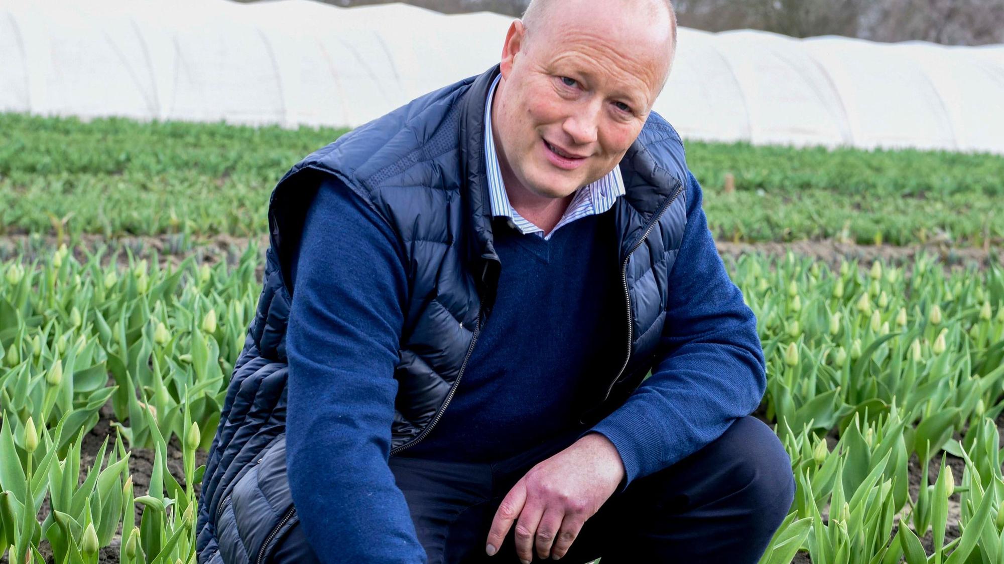 Das Foto zeigt Peter Zens in einem Tulpenfeld auf dem Gertrudenhof.