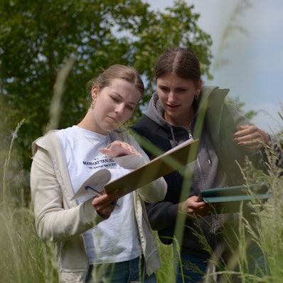 Das Bild zeigt drei Schülerinnen der elften Klasse, die im Rahmen eines Naturschutzprojekts mit Klemmbrettern auf einer Wiese mit hohen Gräsern unterwegs sind.
