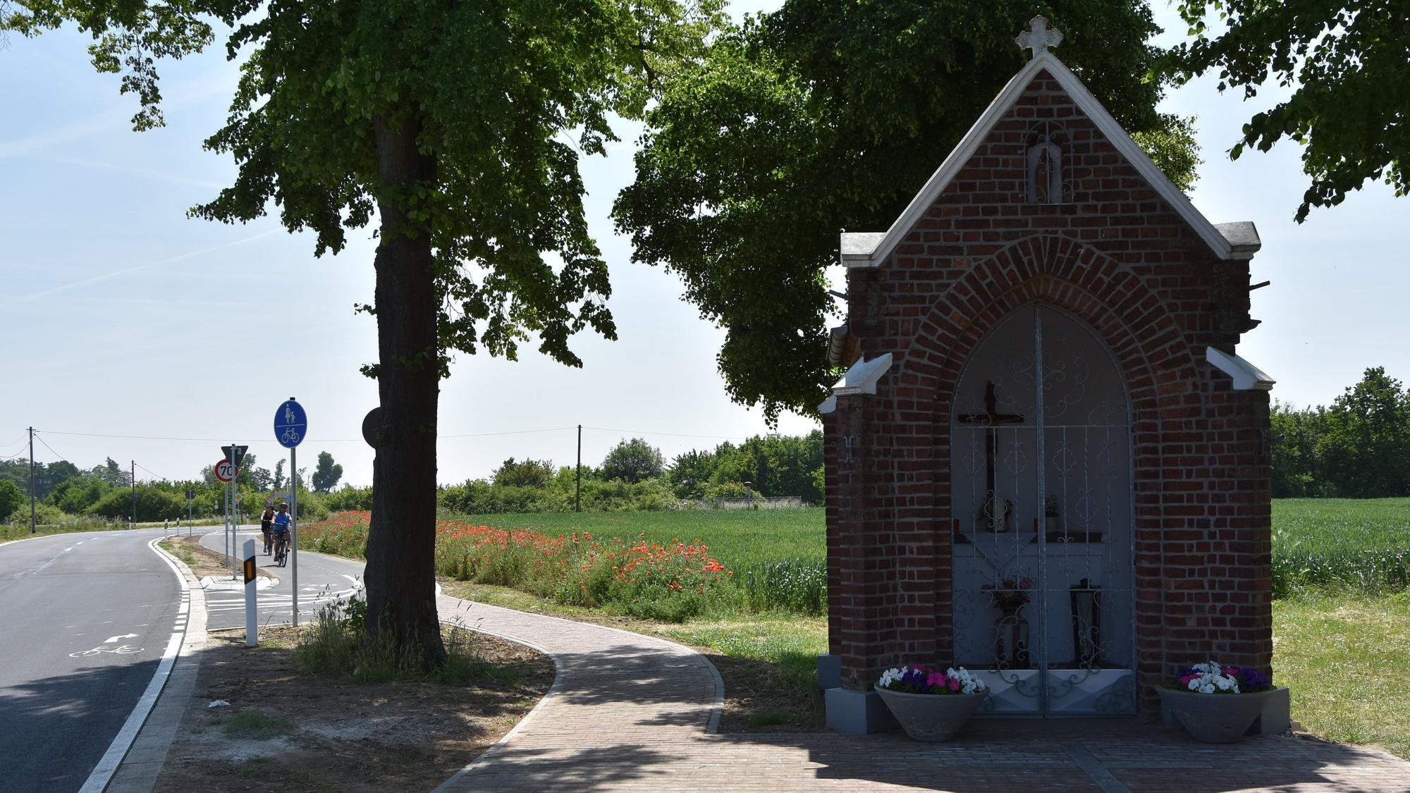 Das Foto zeigt den Radweg von Berrendorf-Wüllenrath zum Forum Terra Nova.