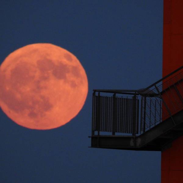 Der sogenannte Erdbeermond leuchtet am Himmel in der Nacht zu Sonntag in Hamburg.