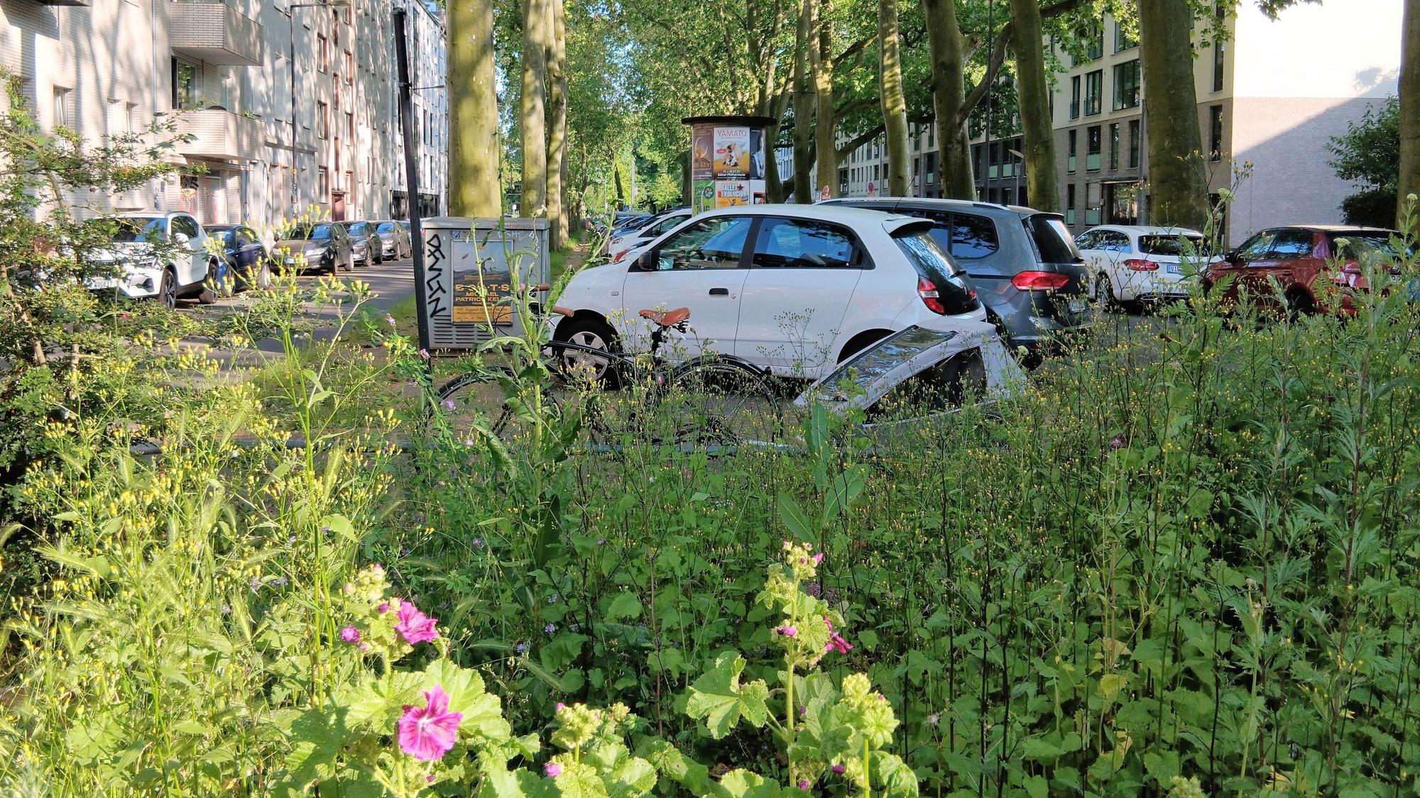 Autos parken auf der Mittelallee der Moselstraße. Die Parkplätze sollen wegfallen.