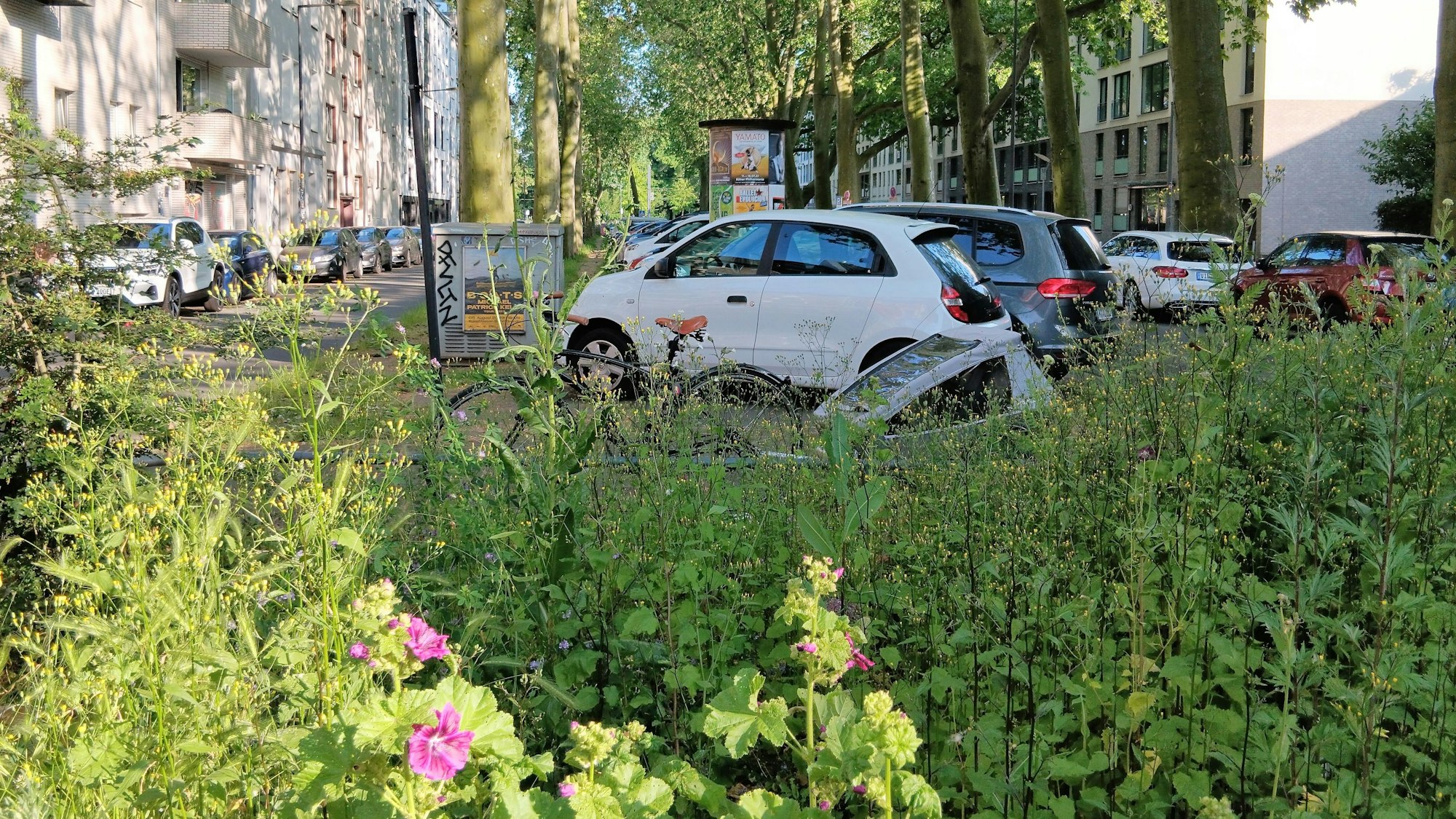 Autos parken auf der Mittelallee der Moselstraße. Die Parkplätze sollen wegfallen.