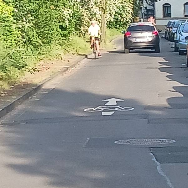 Auf einer Fahrradstraße Talweg in Troisdorf Oberla finden sich schadhafte Markierungen.