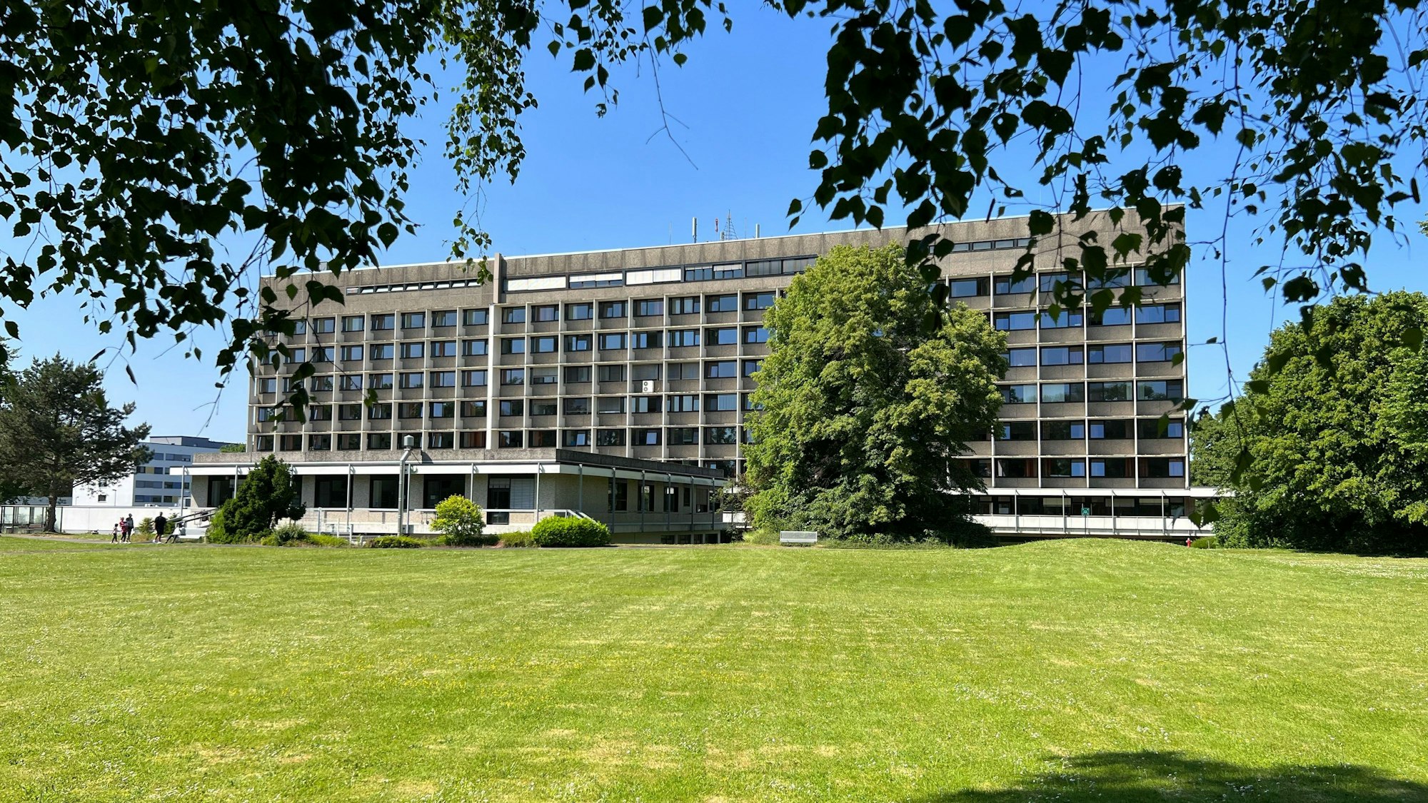 Das Krankenhaus Porz von hinten mit einer grünen Wiese im Vordergrund.