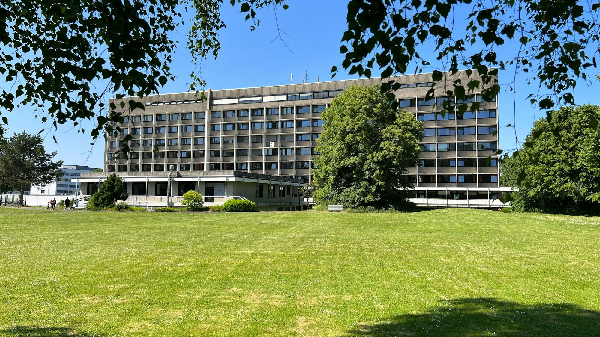 Zu sehen ist die Rückseite des Krankenhauses Porz. Davor steht ein großer grüner Baum und liegt eine grüne Wiese.