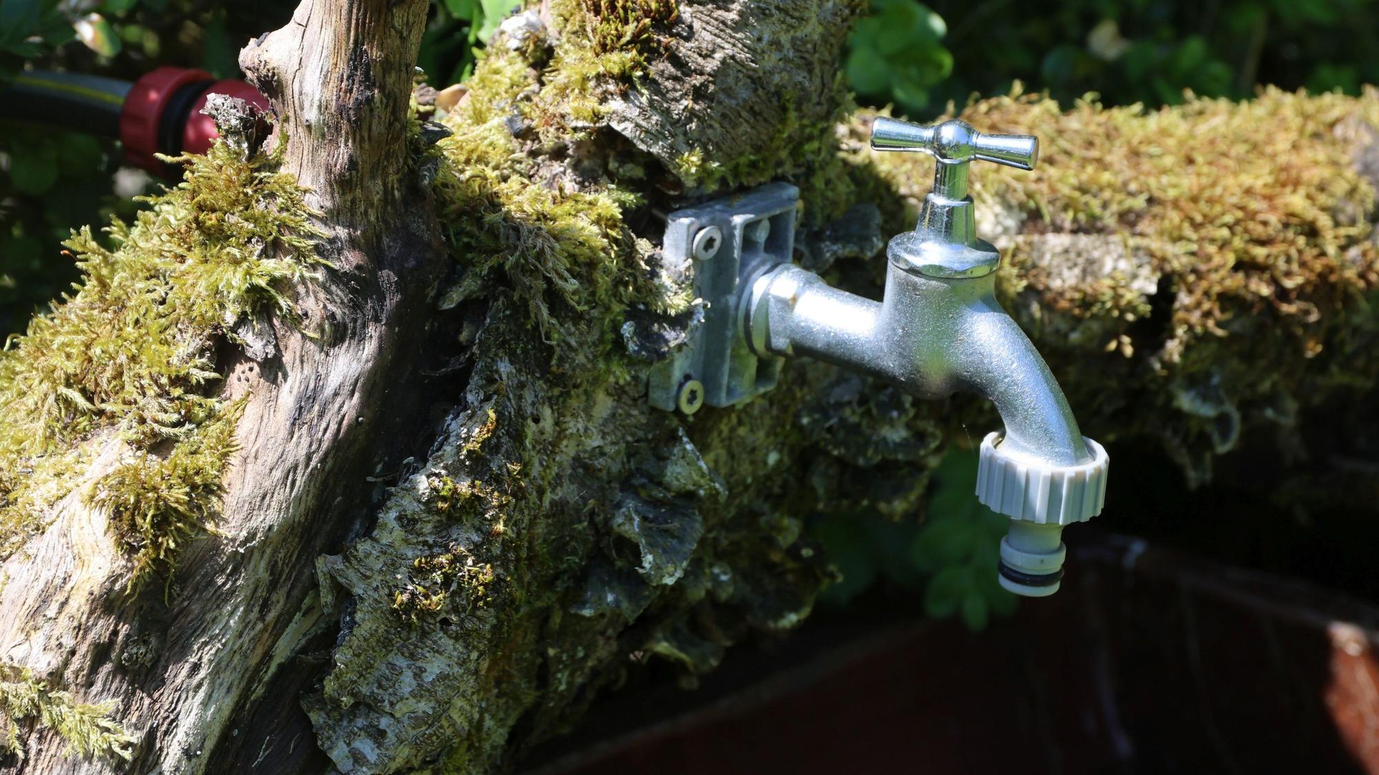 In das urige Ambiente ist ein Wasserhahn integriert.