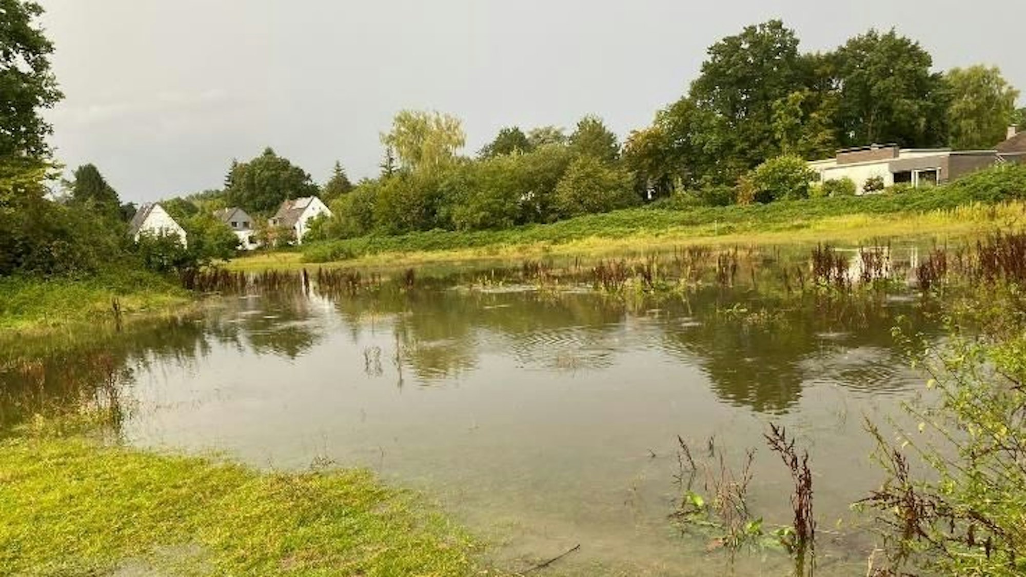 Wiese an der Alten Marktstraße in Refrath nach Regenfällen