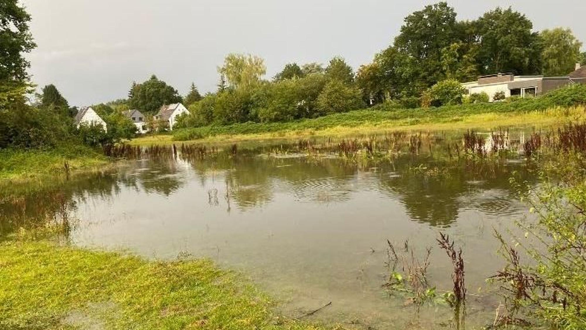 Wiese an der Alten Marktstraße in Refrath nach Regenfällen.