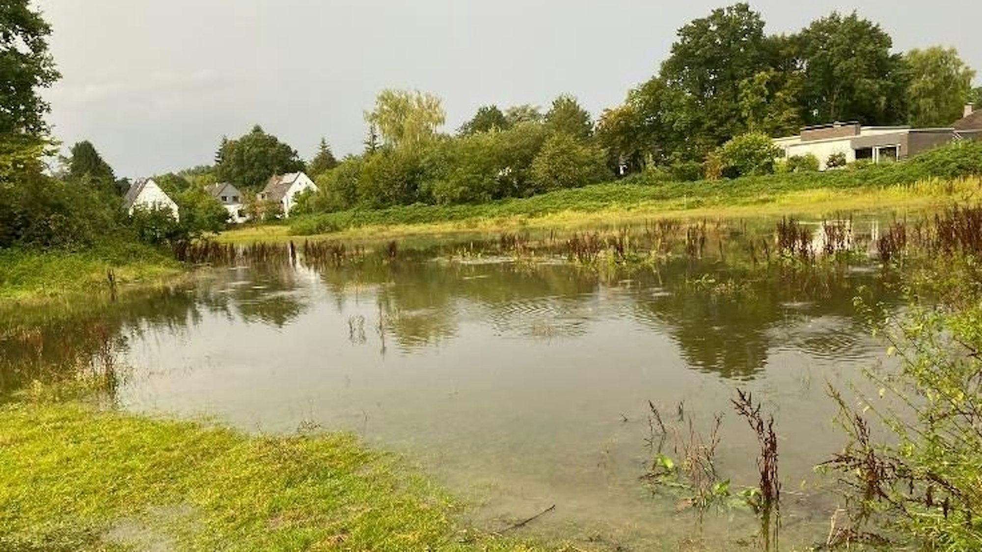 Wiese an der Alten Marktstraße in Refrath nach Regenfällen.