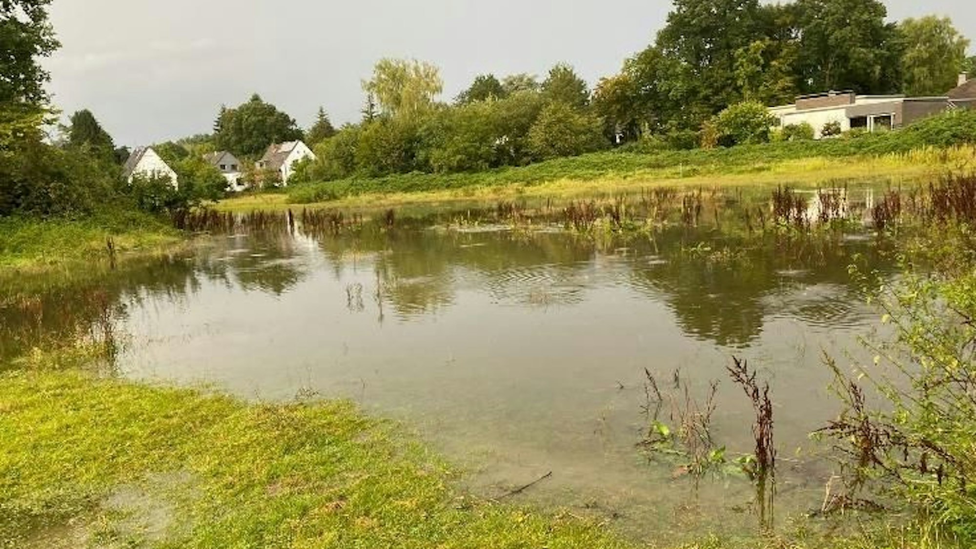 Riesige Pfütze auf der Alten Marktstraße in Refrath nach Regenfällen.