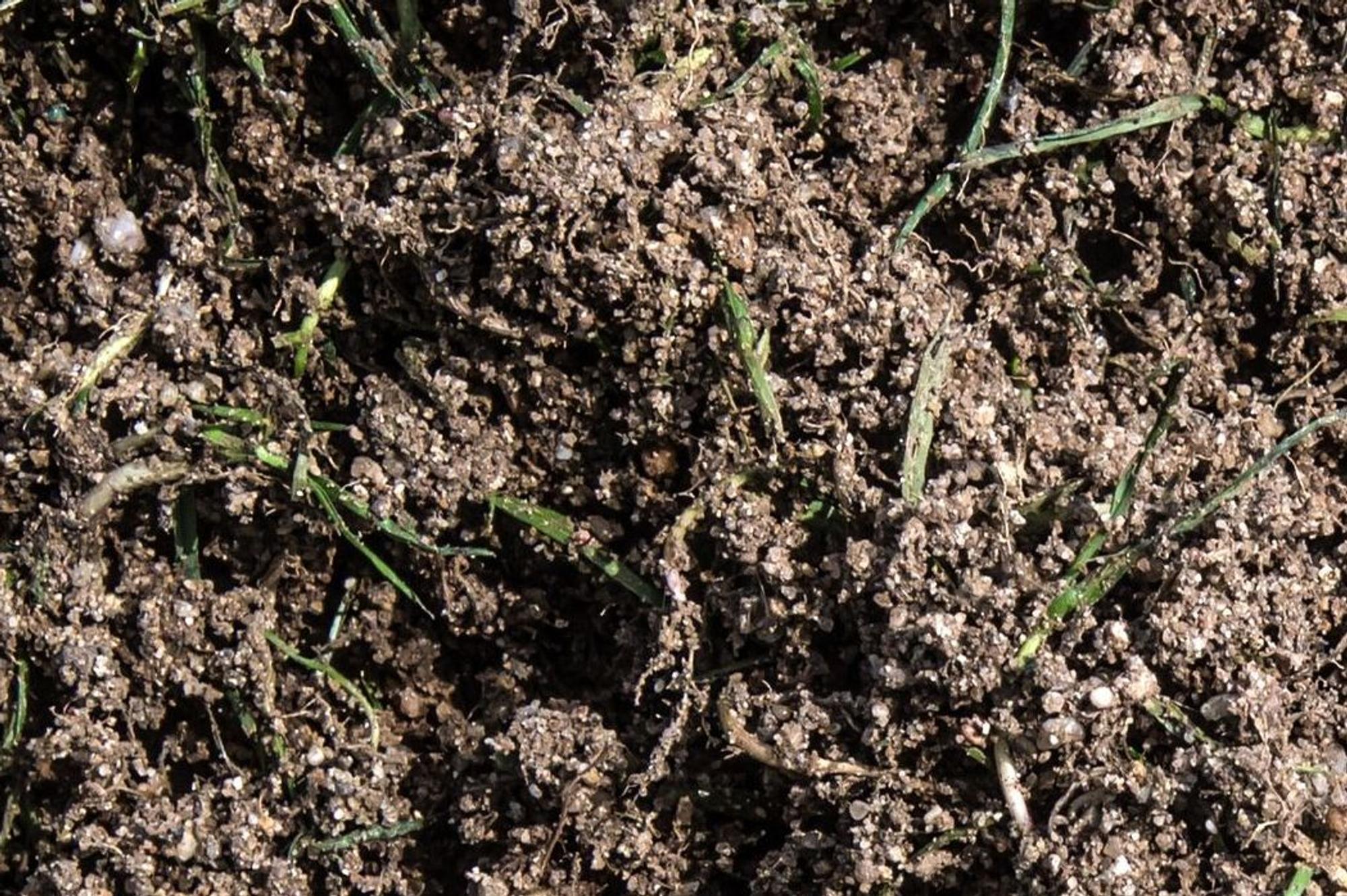 Beim Abkippen im Landschaftsschutzgebiet Kursiefen ist ein LKW umgekippt. Die Ladung: Ein Sand-Erde-Gemisch mit Rasenresten, eine Schicht, die vom Rasen in der Bay-Arena entnommen wurde.