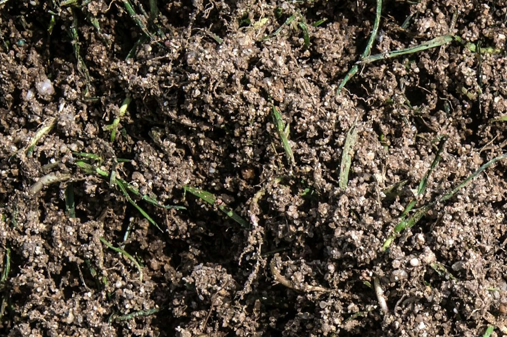 Beim Abkippen im Landschaftsschutzgebiet Kursiefen ist ein LKW umgekippt. Die Ladung: Ein Sand-Erde-Gemisch mit Rasenresten, eine Schicht, die vom Rasen in der Bay-Arena entnommen wurde.