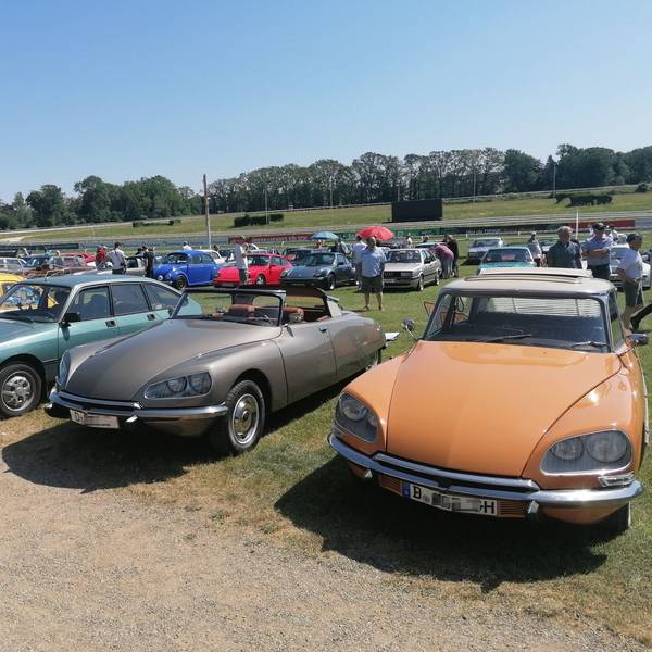 Mehrere Oldtimer stehen nebeneinander auf der Galopprennbahn – der Himmel ist blau.