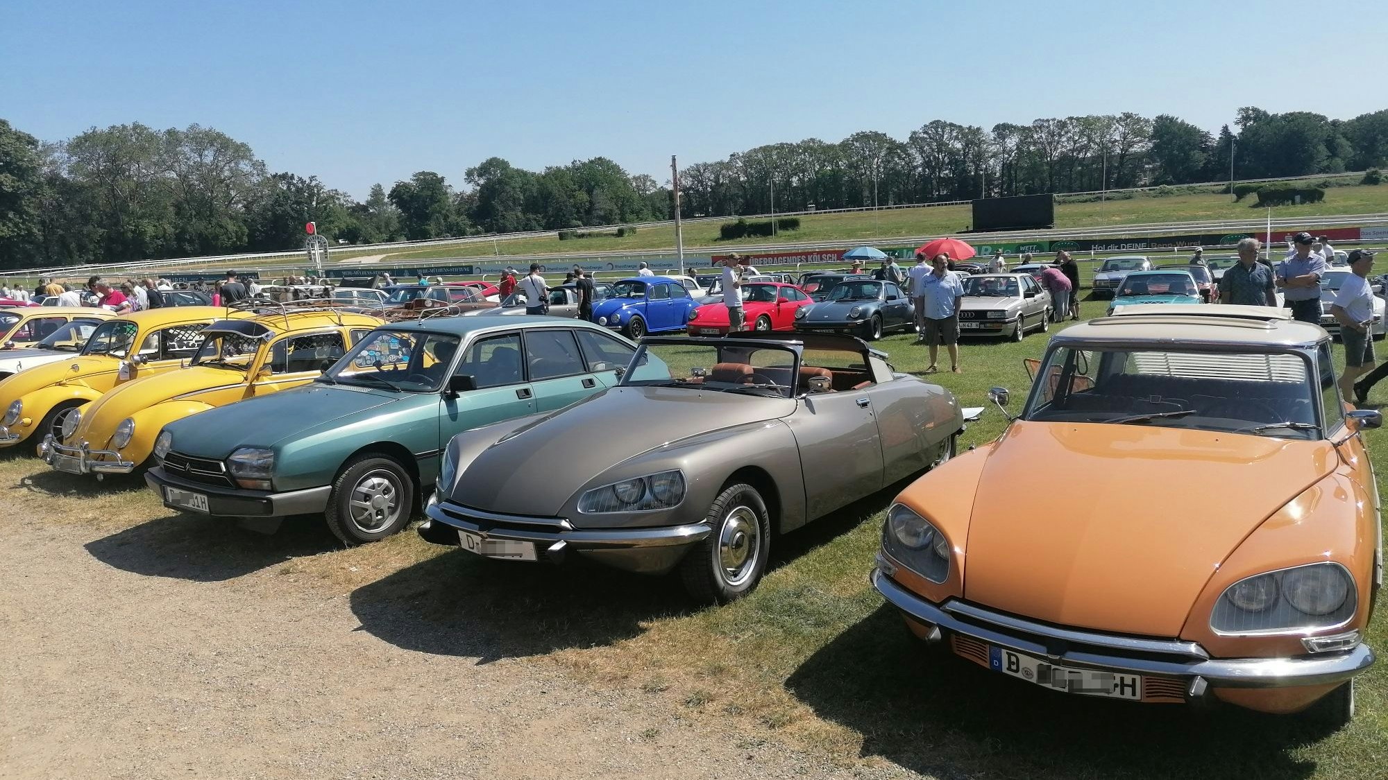 Mehrere Oldtimer stehen nebeneinander auf der Galopprennbahn – der Himmel ist blau.