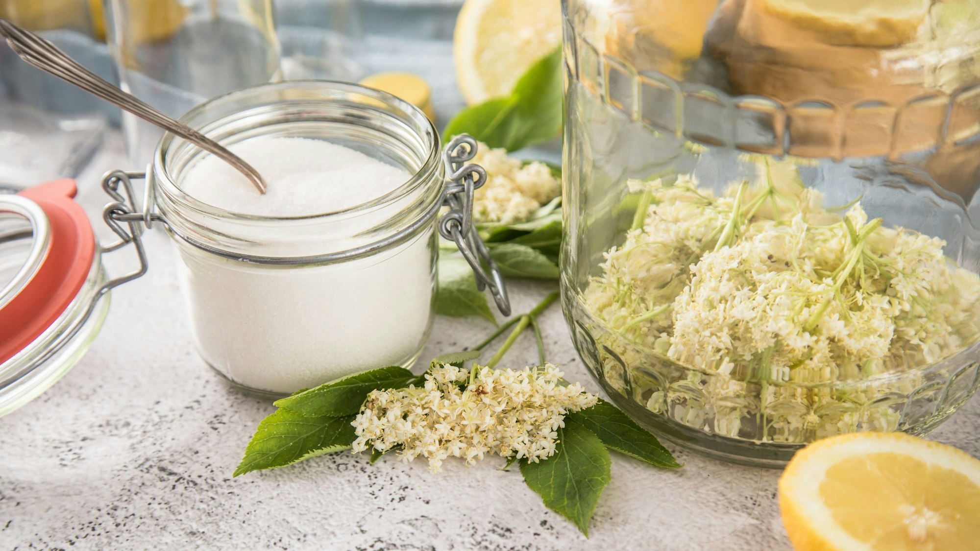 Zucker in einem Glas, daneben ein Glas mit Holunderblüten und eine Zitrone