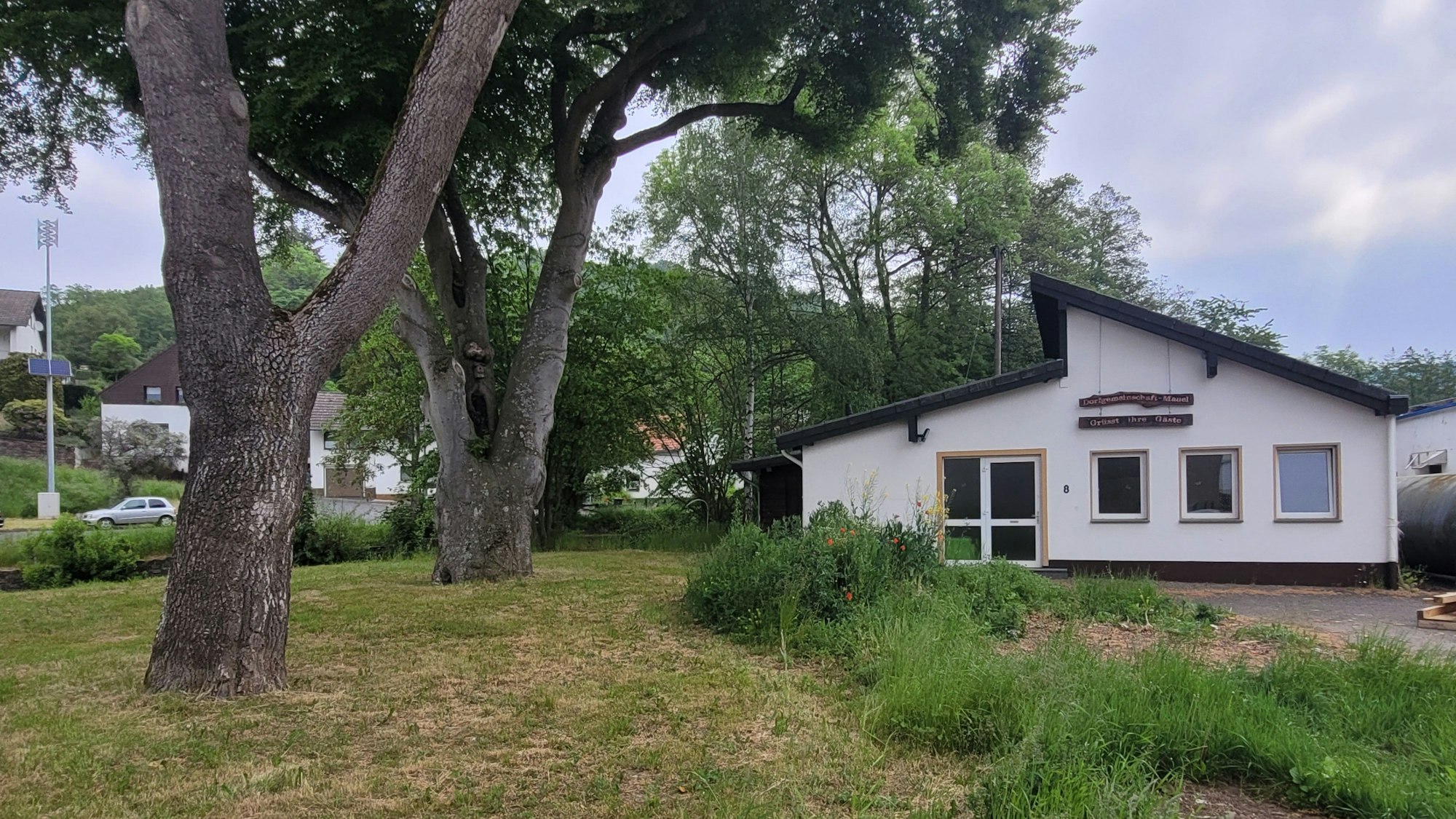 Auf dem Bild ist eine Wiese mit alten Bäumen zu sehen, im Hintergrund das Dorfhaus von Mauel.