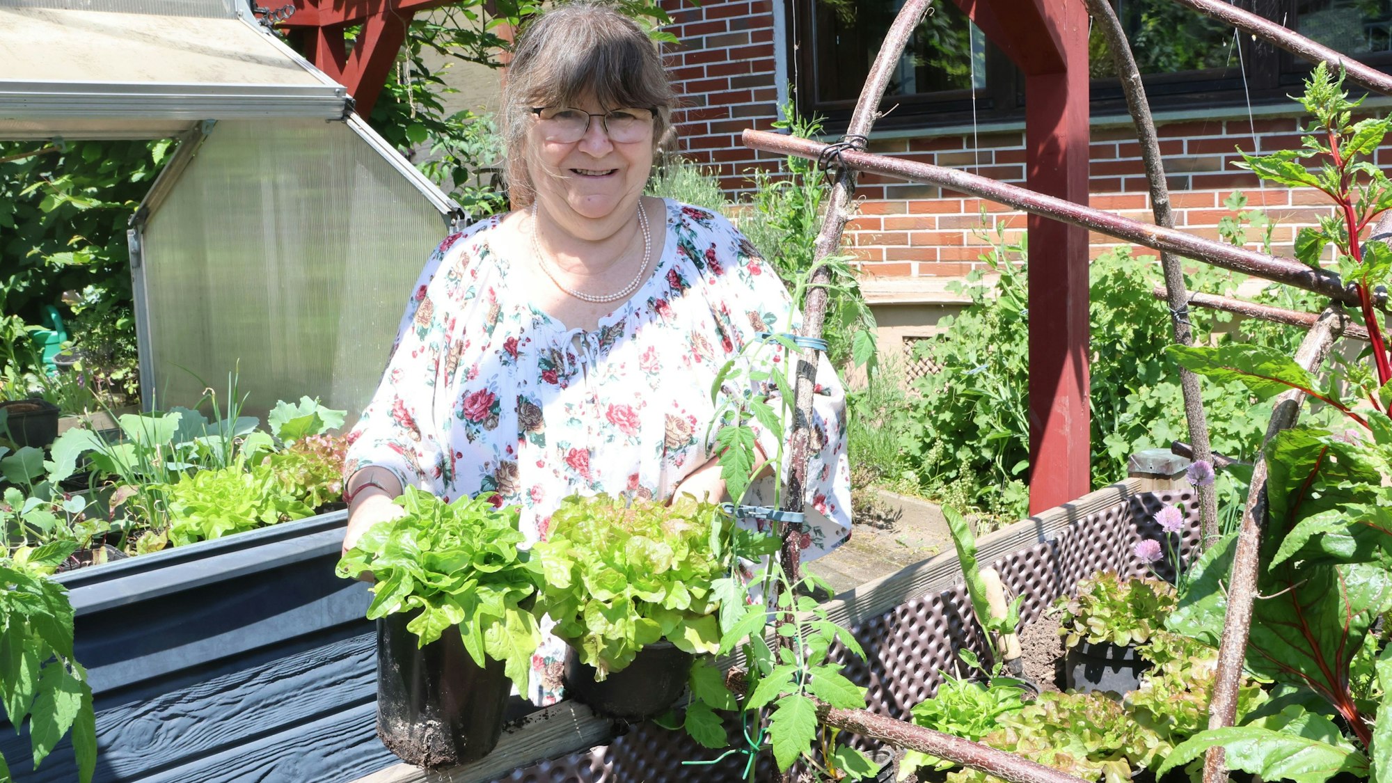 Christa Budde-Hielscher zieht ihren eigenen Salat in einem Hochbeet.